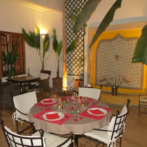 Irene Riad Marrakesch
